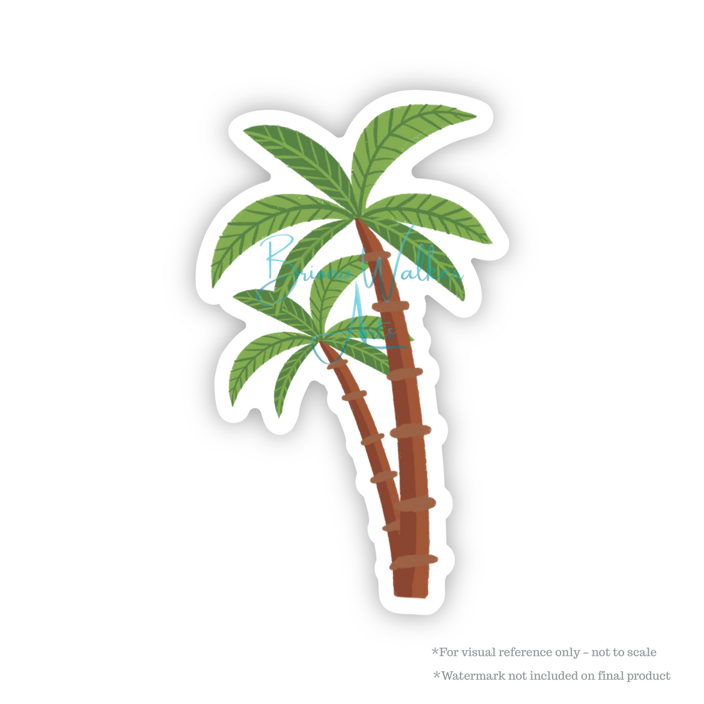 Palm Tree
